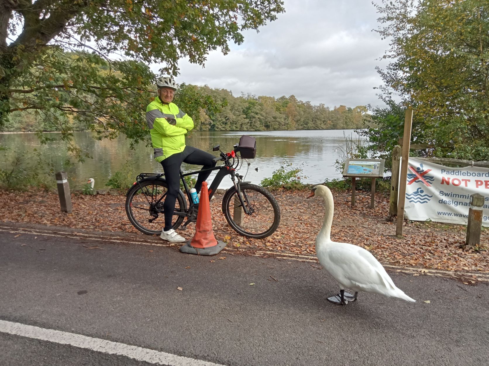 Swan song at Frensham