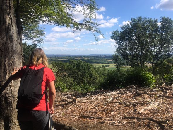 Admiring the view from Hurthill Copse