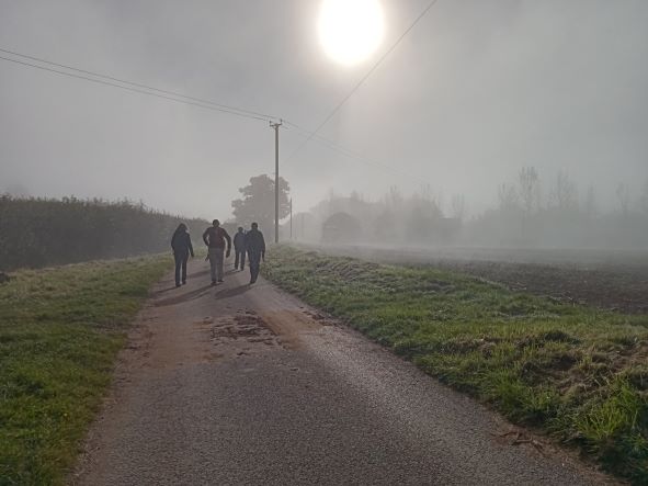 Walking into the Winter Sun